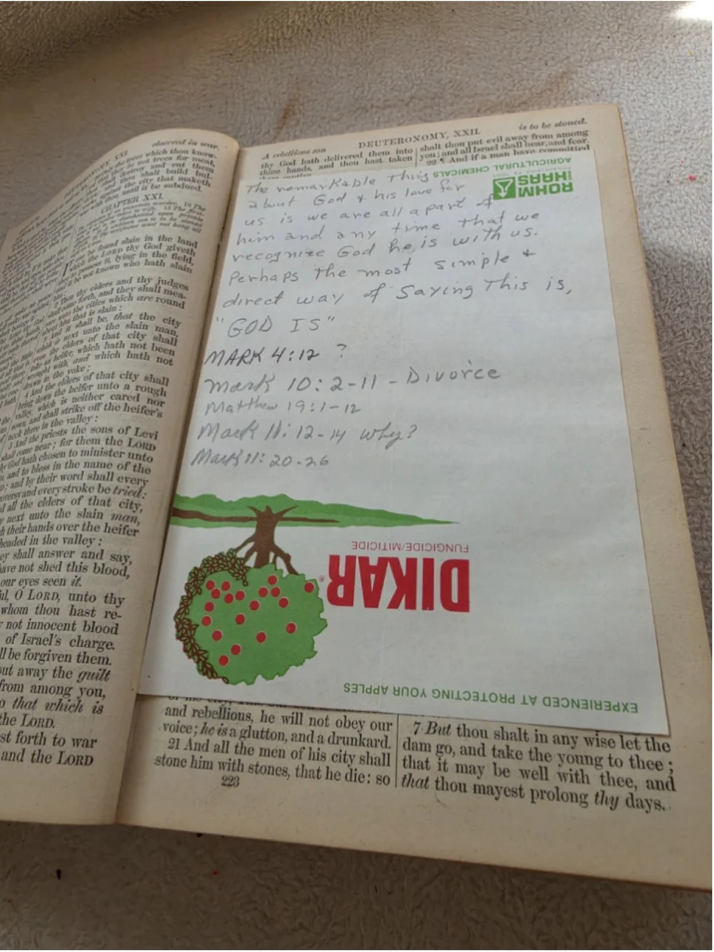 Unbranded book details